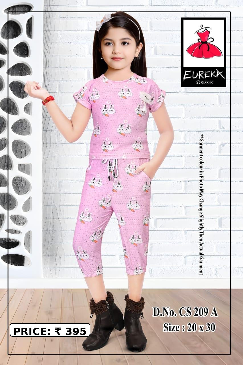 Eureka Design CS-209A